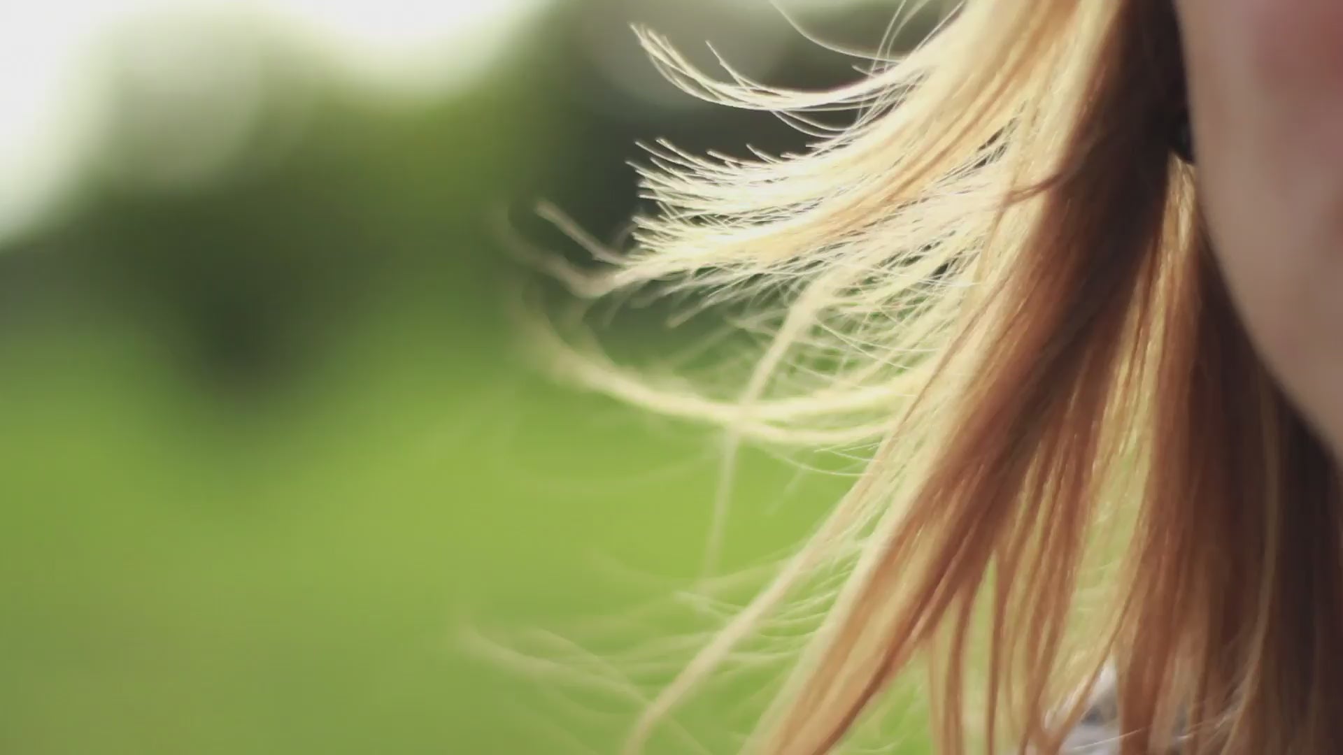 Carica il video: 